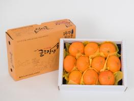 제주시, 설 명절 만감류 대대적인 소비촉진 전개 기사 이미지