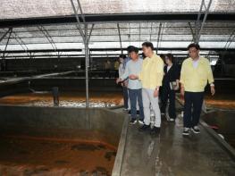 위성곤 제주도지사 “지원은 신속히, 반복 피해엔 구조적 대책 마련” 기사 이미지